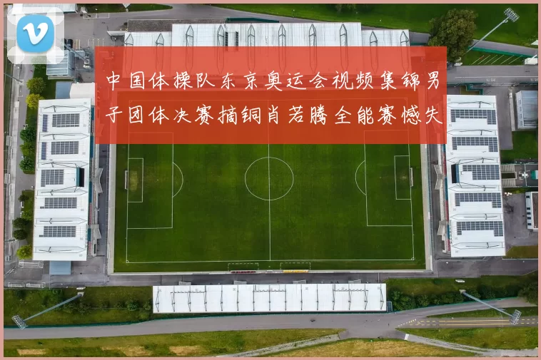 中国体操队东京奥运会视频集锦男子团体决赛摘铜肖若腾全能赛憾失金牌