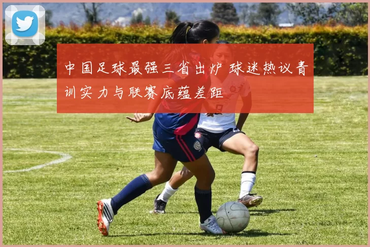 中国足球最强三省出炉 球迷热议青训实力与联赛底蕴差距