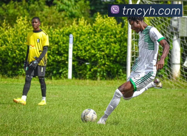 必一运动(B - Sport)用品有限公司官网服务体系